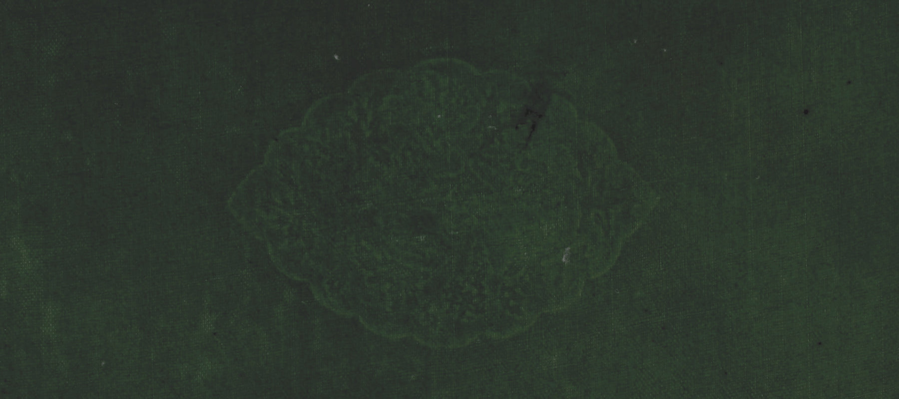 Bedding ⋮ Throws + Blankets