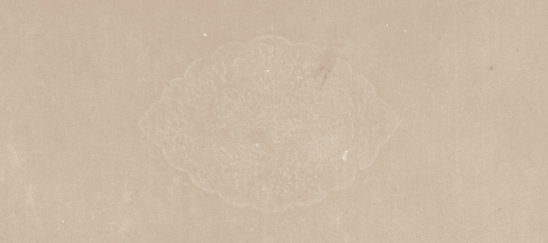 Scarves + Wraps | Cashmere