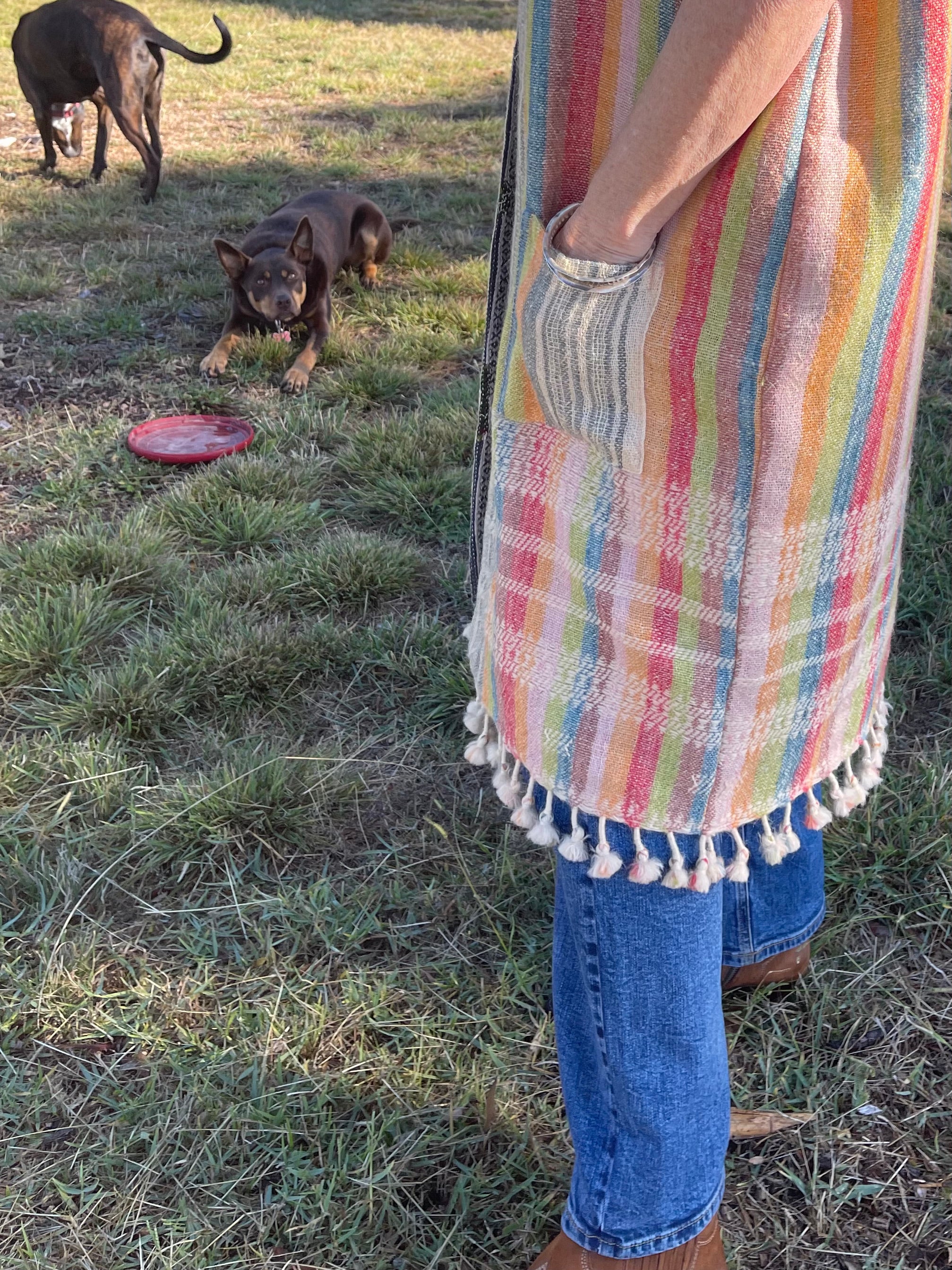 Handwoven Desi Wool Jacket - Autumn Stripes Cool