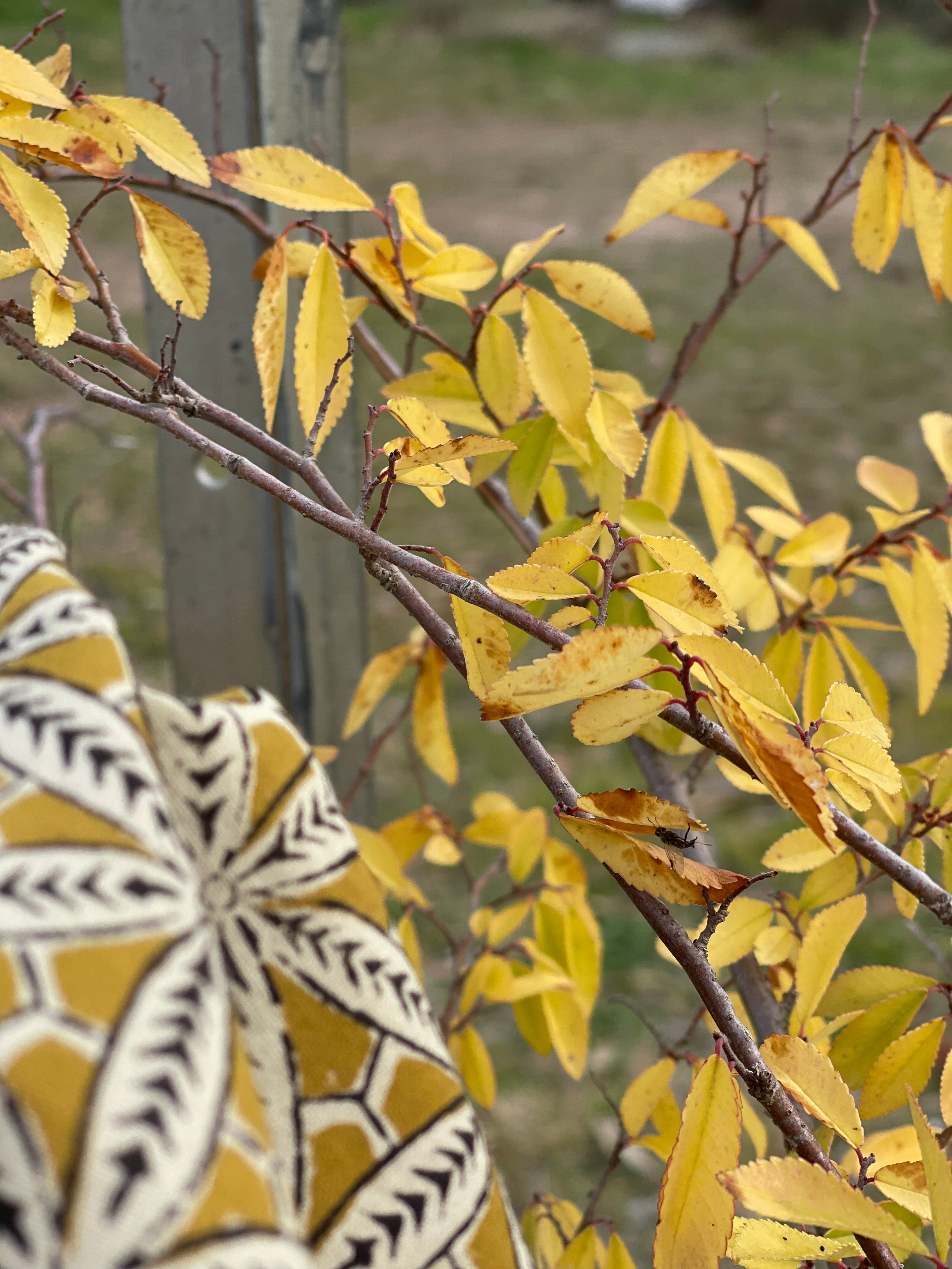 Handblock Printed Tablecloth - Mustard Coral