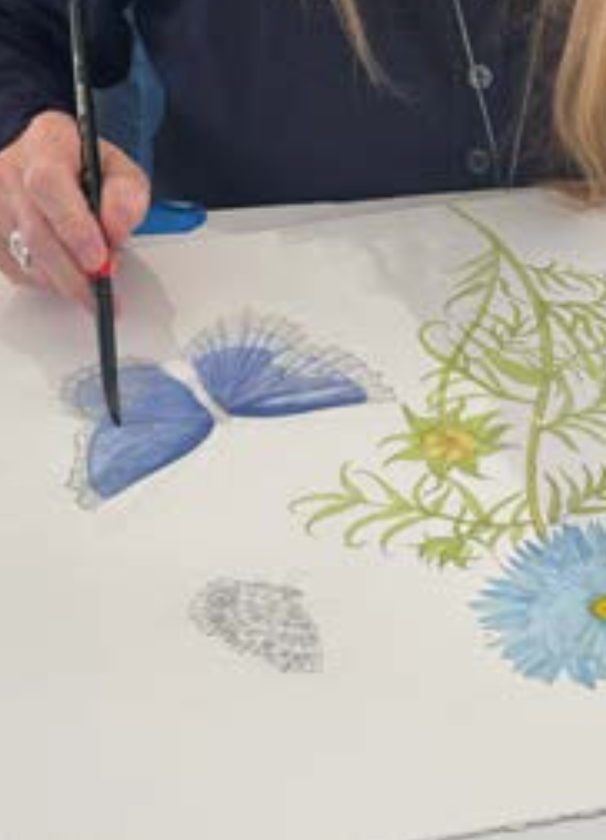 Herbarium 24 Cotton Dress - Summer Floral