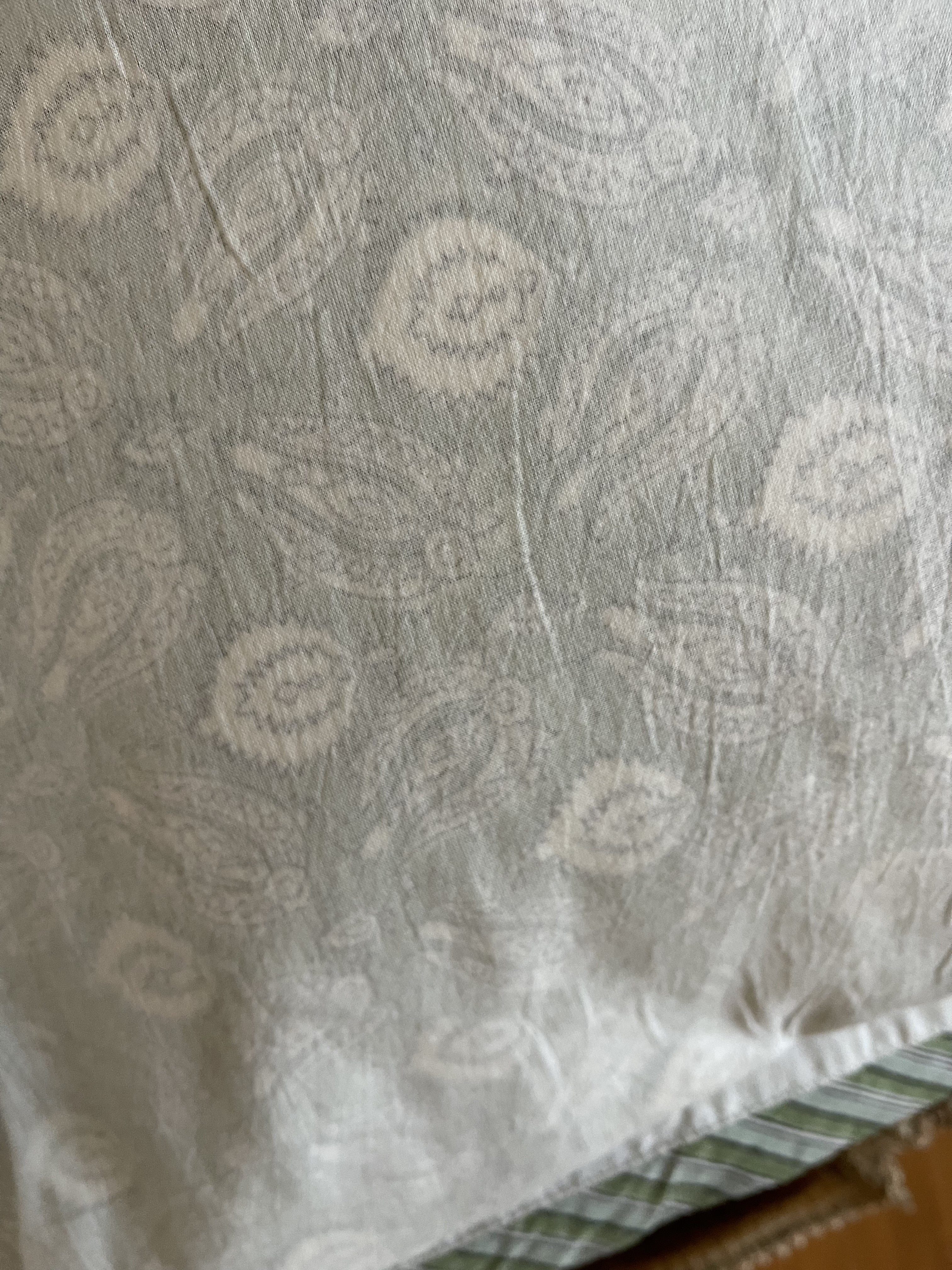 DOHAR - Lichen Arabesque