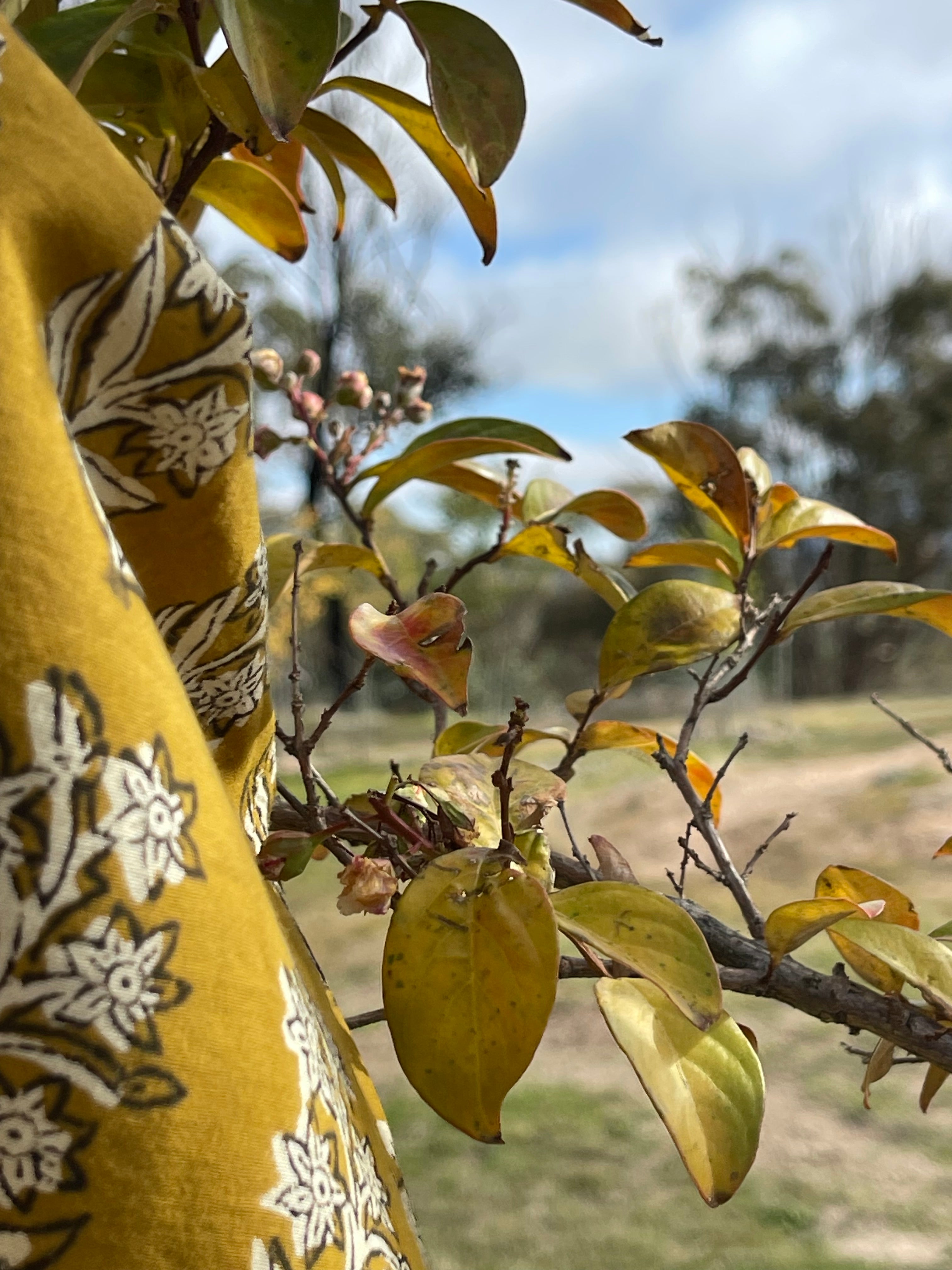 Handblock Printed Tablecloth - Mustard Flower Tree