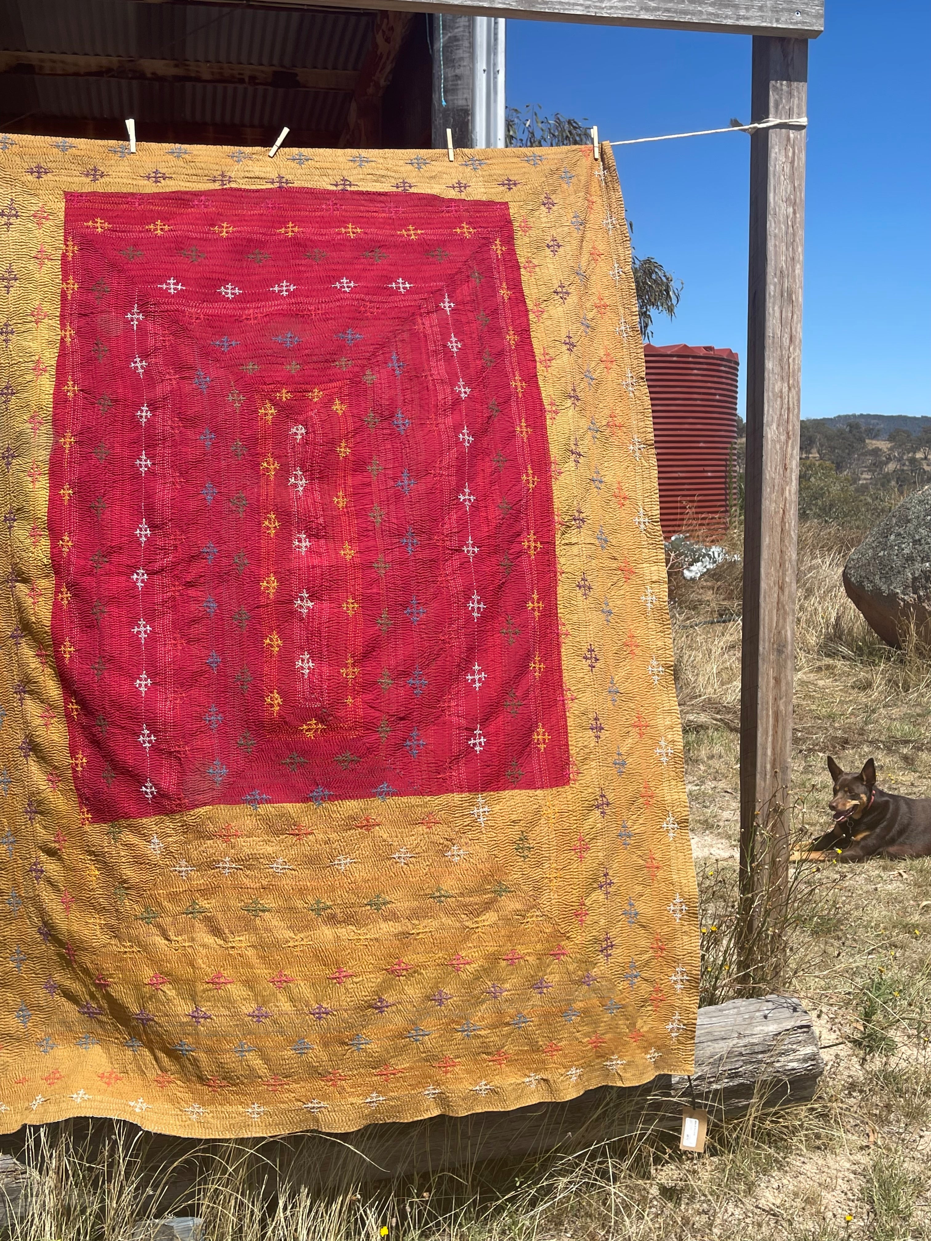 Snake Charmer Quilt - Desert Border